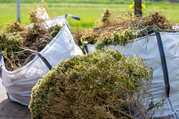 Best Electronics Removal Services  in West Peoria, IL